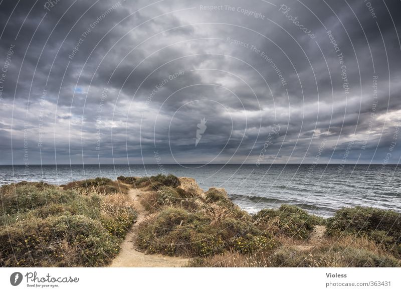 the wind whistle... Tourismus Sommerurlaub Meer Natur Landschaft Himmel Wolken Wetter Unwetter Wind Küste Bucht Erholung Fernweh Algarve dunkeler himmel