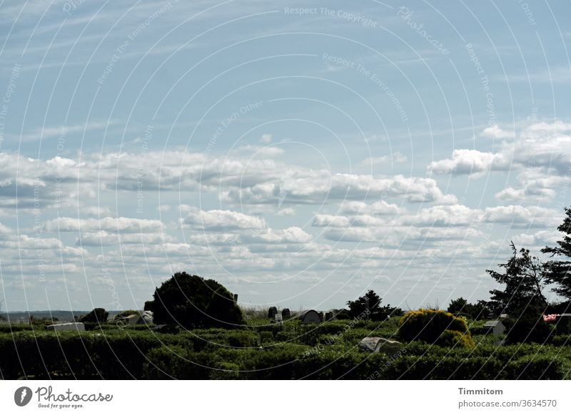 Freundlicher Himmel über dänischem Friedhof Wolken Schönes Wetter Grabsteine Pflanzen Hecke Bäume Dänemark