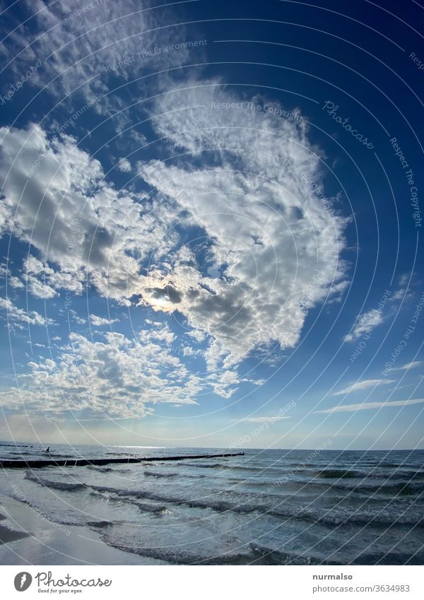Tag am Meer Ostsee Stand Buhnen Wellen Salzwasser Sommer Urlaub baden ddr Insel darß fkk wolken stimmung erholung weite horizont