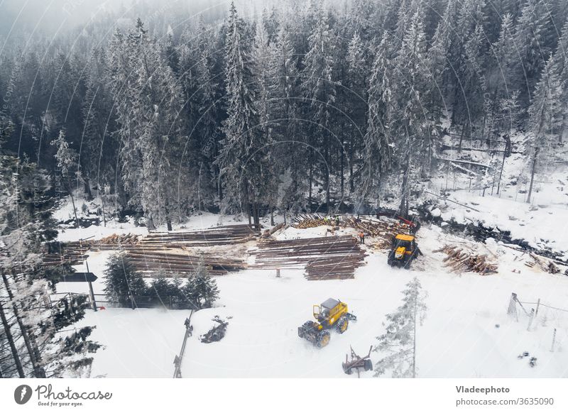 Industrielle Abholzung und maschinelle Holzernte im winterlichen Bergwald. Fliegende Drohnenansichtsfotografie. Baum Wald Totholz Nutzholz oben Air Ansicht