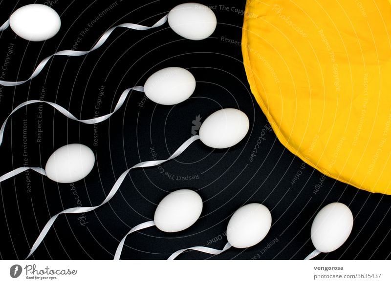 Befruchtung einer Eizelle (Ovum) Fertilisation Nachbau Sexualität reproduktive Zellen Spermien ovum Fruchtbarkeit fruchtbar Reproduktionsmedizin