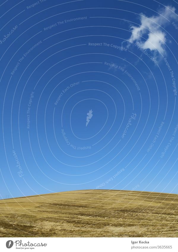Szenische Ansicht des Feldes bei klarem blauen Himmel Landschaft malerisch Klarer Himmel Blauer Himmel Cloud eine Sommer Horizont Textfreiraum