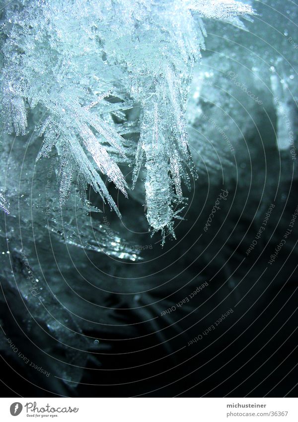 Eiskristalle faszinierend Wasser Detailaufnahme Makroaufnahme Stern (Symbol) Schnee