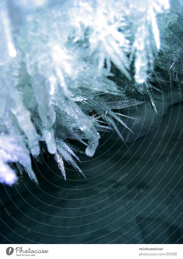 Eiskristalle_3 faszinierend kalt Schnee Wasser Stern (Symbol)