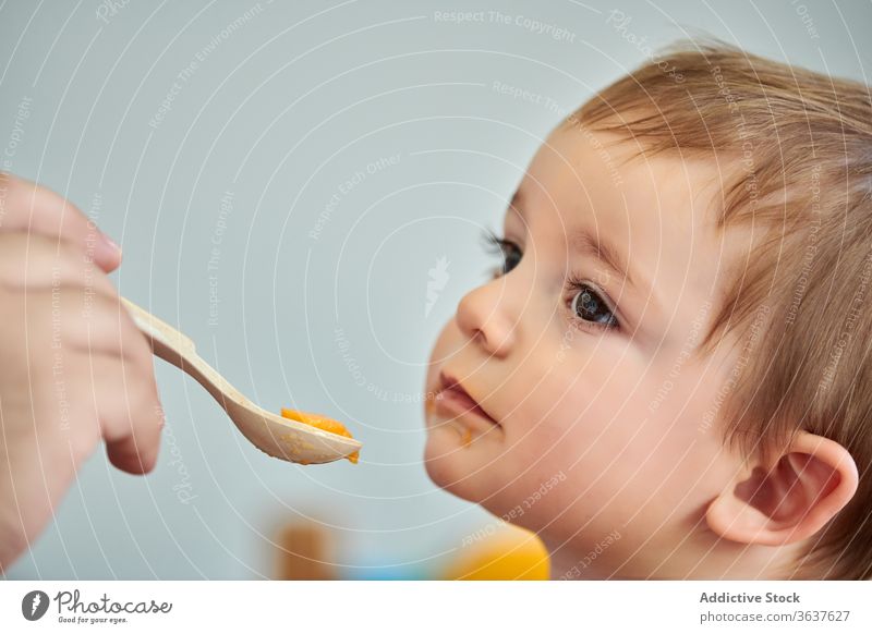 Mutter füttert kleines Kind mit Püree Baby essen Futter Lebensmittel Kleinkind frisch Gesundheit natürlich Mahlzeit niedlich Kindheit wenig hungrig Ernährung
