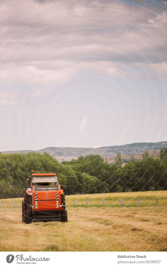 Traktor fahren und Heu auf dem Feld ernten Gras Mann Ernte sonnig industriell Maschine Laufwerk männlich Ackerbau ländlich Natur trocknen Arbeit tagsüber Sommer
