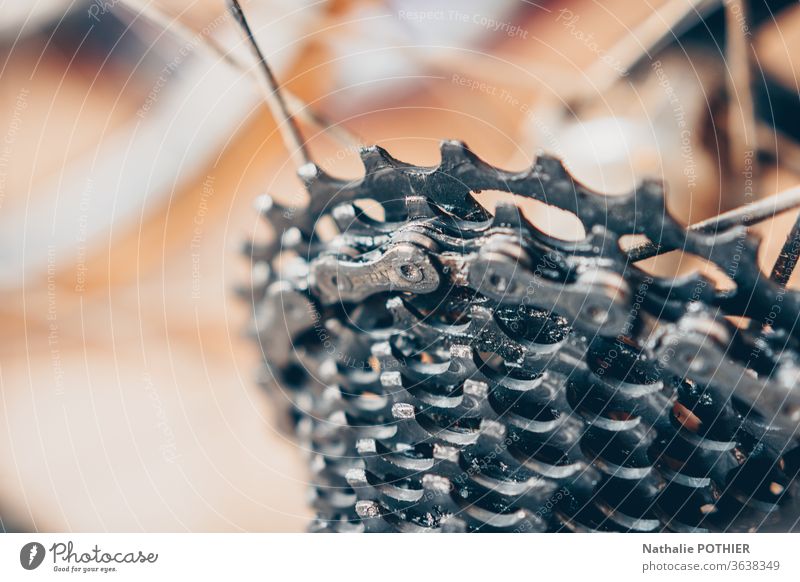 Fahrrad-Kettenschaltung bic gekerbt Kerbe Plateau Rennen Fahrradfahren Radfahrer Fahrradtour Sport Freizeit & Hobby Farbfoto Nahaufnahme Metall anketten
