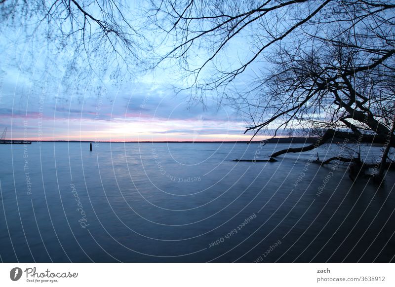 Morgens am See Wasser Dämmerung Sommer Sonnenuntergang Reflexion & Spiegelung Wolken blau Seeufer Himmel Natur Landschaft Licht ruhig Erholung Sonnenlicht Abend