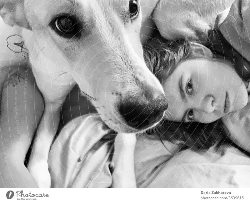 Familien-Selfie am Morgen am Bett mit einem geliebten Hund Mädchen Frau Porträt Haustier im Bett Schwarzweißfoto bw Familie & Verwandtschaft Freundschaft Tier