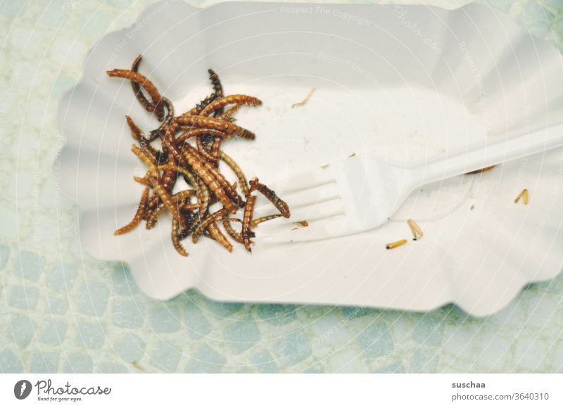 gebratene würmer auf einem pappteller Guten Appetit Würmer Ernährung Lebensmittel Mahlzeit Essen Pappteller Mehlwürmer gruselig unappetitlich lecker Snack