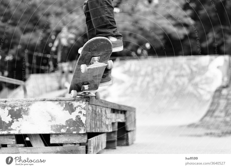 Skateboard gleitet über einen Kante Skateboarding Funsport springen Trick Trick Jump Jugendliche Sport Aktion Lifestyle Schatten Rolle street Licht Stunt