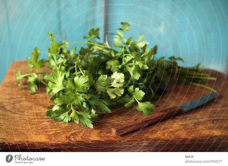 Petersilie Lebensmittel Kräuter & Gewürze Ernährung Bioprodukte Vegetarische Ernährung Messer Küche frisch Gesundheit blau grün genießen aromatisch