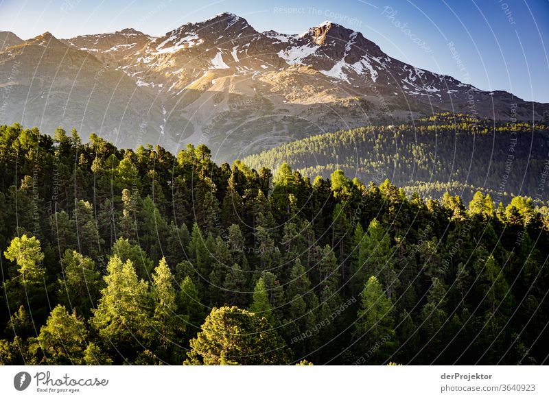 Blick auf den Piz Corvatsch im Engadin in Graubünden amMorgen Sonnenstrahlen Tag Licht Außenaufnahme Alpen Natur Naturschutzgebiet anstrengen Umwelt wandern