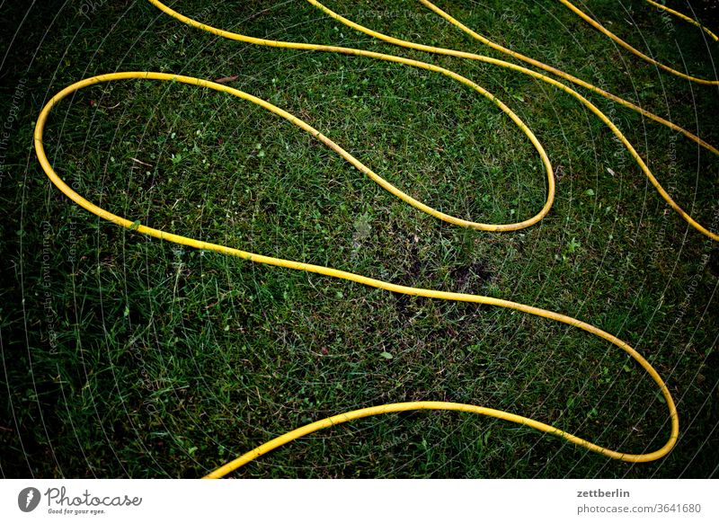 Gartenschlauch in Serpentinen erholung garten gras kleingarten kleingartenkolonie menschenleer natur pflanze rasen ruhe schrebergarten sommer textfreiraum