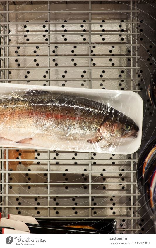 Fisch im Tiefkühlregal fisch forelle kühlung laden supermarkt tiefkühltruhe tiefkühlregal sortiment ernährung essen verpackung folie fischfutter
