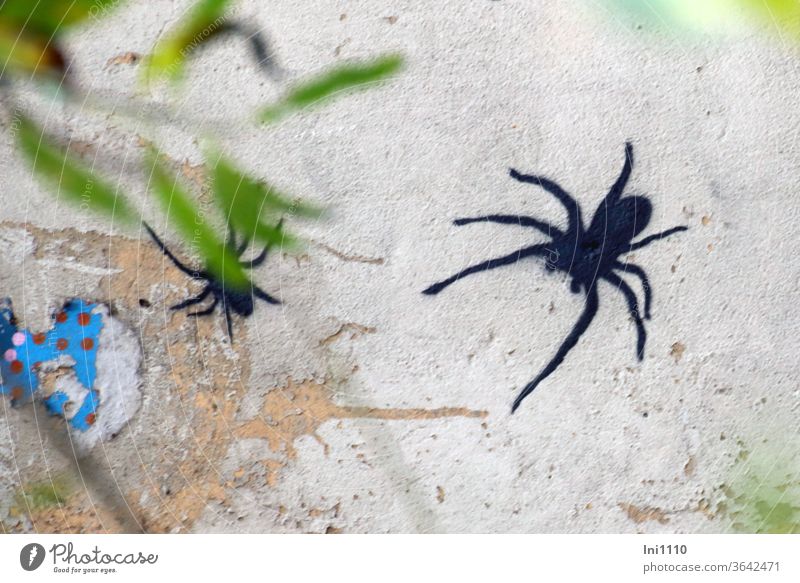 durch Blätter entdeckte schwarze Spinnen auf abgeblättertem teilweise buntem Mauerwerk| UT Hamburg Dekoration & Verzierung Wandmalerei Graffiti Spray grau