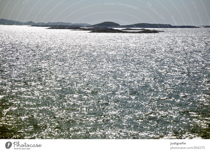 Norwegen Umwelt Natur Landschaft Wasser Klima Wellen Küste Fjord Insel leuchten kalt natürlich Stimmung Idylle Farbfoto Gedeckte Farben Außenaufnahme