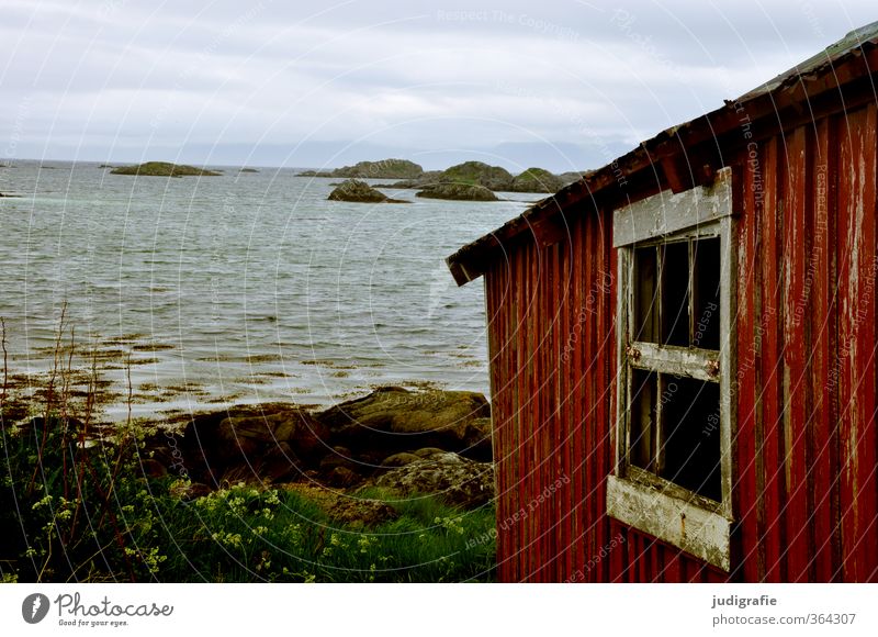 Norwegen Umwelt Natur Landschaft Wasser Klima Felsen Küste Fjord Menschenleer Haus Hütte Gebäude Fassade Fenster alt klein natürlich wild Stimmung Farbfoto