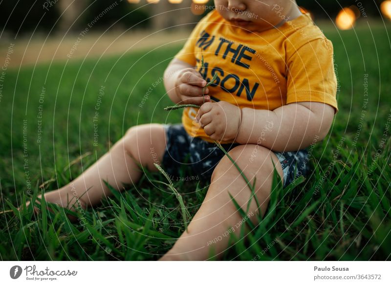 Mit Gras spielendes Kleinkind Kaukasier 0-12 Monate Kind Kinderspiel Kindheit Spielen Sommer Sommerurlaub im Freien Baby Farbfoto Mensch Freude Außenaufnahme