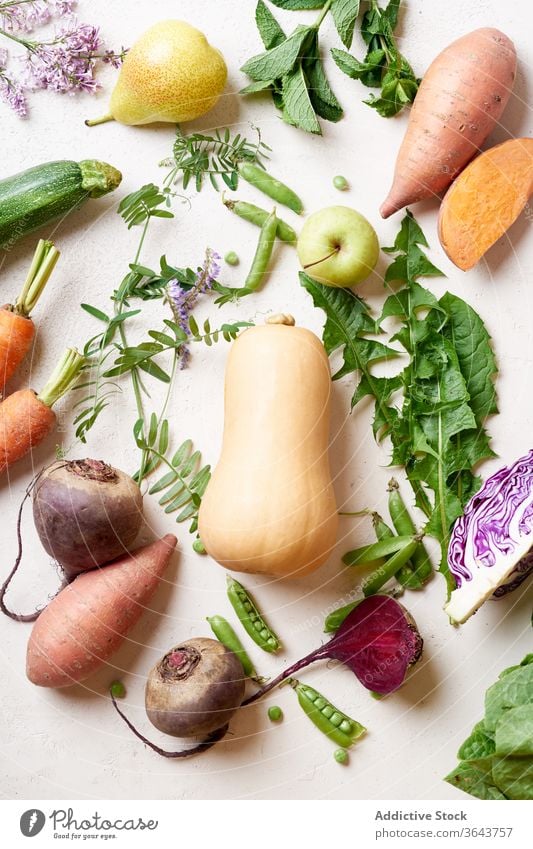 Gesunde Lebensmittelzutaten auf dem Tisch Gemüse Saison produzieren Vegetarier Gesundheit natürlich Möhre oben roh grün Bestandteil Butternusskürbis Rote Beete