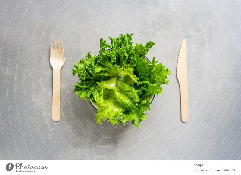 Frischer grüner Salat in einer Schüssel mit Holzbesteck. Gemüse frisch Bioprodukte Innenaufnahme lecker Mittagessen Diät Gesundheit Farbfoto Ernährung Gabel