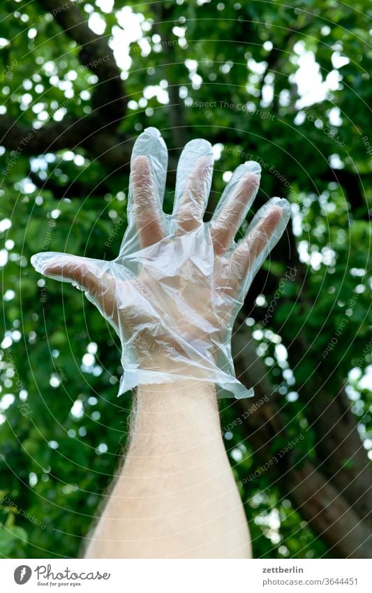 Hand im Handschuh hand handschuh schutz isolierung corona covid covid 19 hygiene mann mensch person gesundheit baum ast zweig stamm baumstamm froschperspektive
