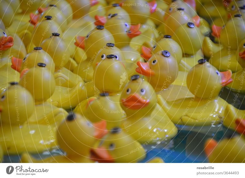 Quietscheenten | gefangen in Plastik Ente quietschen Badewanne Badeente baden Plastikente gelb Spielzeug spielen spielerisch angeln Preis Jahrmarkt