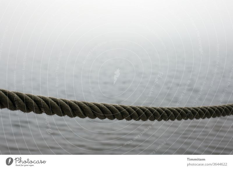 Tau mit Tau am Mummelsee Seil Tautropfen Feuchtigkeit Absperrung See Nebel Nebelstimmung Wasser Umwelt Natur