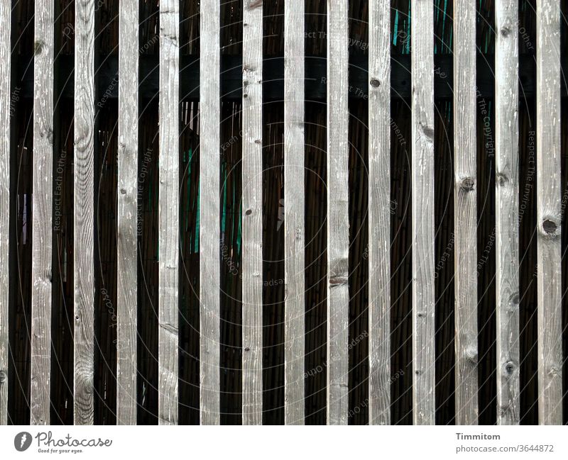 Ein recht nüchterner und hoher Holzzaun Zaun Maserung Hintergrund Linien dunkel Außenaufnahme Farbfoto Menschenleer Abtrennung