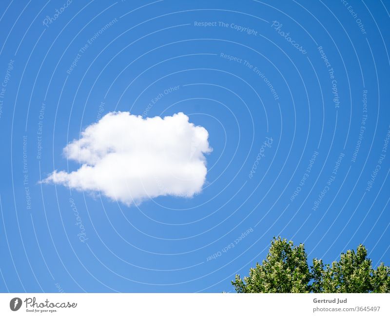 Eine weiße Wolke im blauen Sommerhimmel Himmel Minimalismus Wolken Natur Schönes Wetter Tag Außenaufnahme Menschenleer Farbfoto Umwelt Sonnenlicht Klima