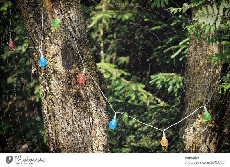 feierlaune Wald Lichterkette feiern Bäume Fest Natur lachen bunte Lichter Ruhestand