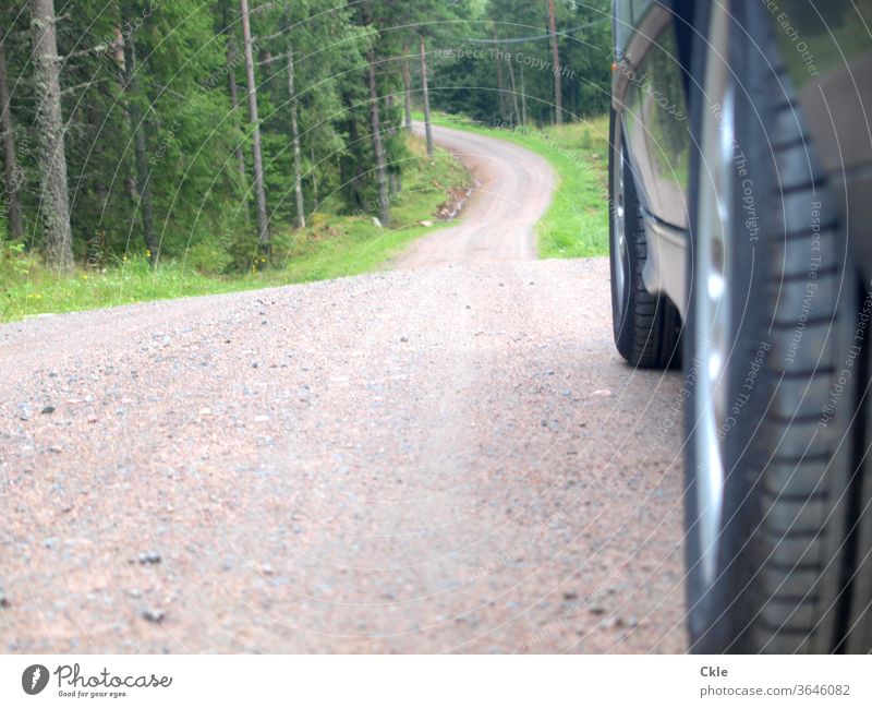 Durch Värmlands Wälder Wald Waldpiste Auto Pkw Autoreifen Bergab unwegsam Bäume Wildnis Einsamkeit Außenaufnahme Verkehr Fahrzeug Straße Verkehrsmittel