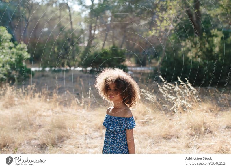 Ernstes ethnisches Mädchen in ländlicher Umgebung Kleid ernst Landschaft Natur sonnig Outfit Fokus besinnlich krause Haare niedlich Sonnenlicht Baum stehen