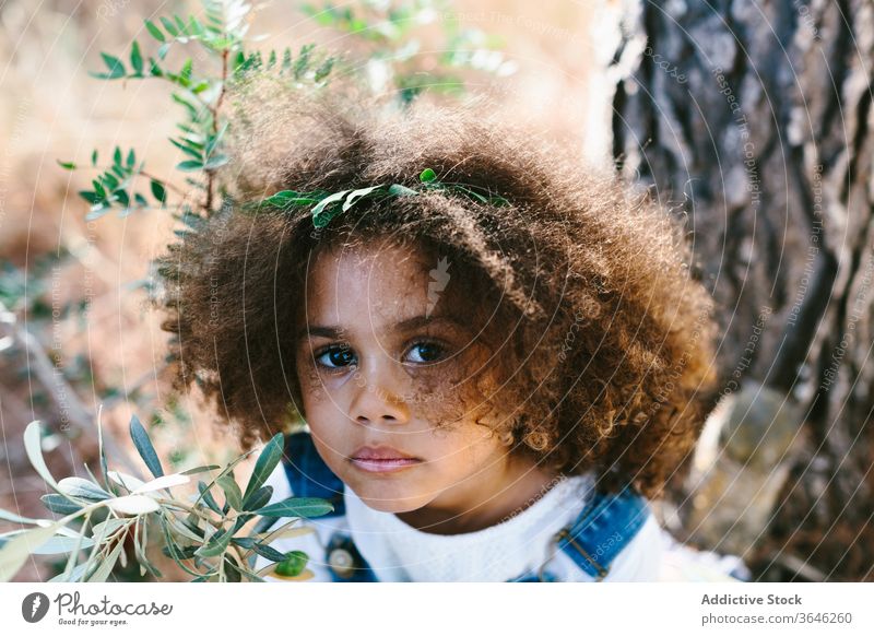 Ernstes kleines Mulattenmädchen auf verschwommenem Naturhintergrund Mädchen schwarz Kind ernst Porträt Windstille bezaubernd Sommer Stil Outfit emotionslos