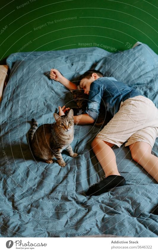 Müde Junge und Katze schlafen auf dem Bett friedlich Mittagsschlaf niedlich lässig Zusammensein tagsüber Umarmung Komfort süß sich[Akk] entspannen bezaubernd