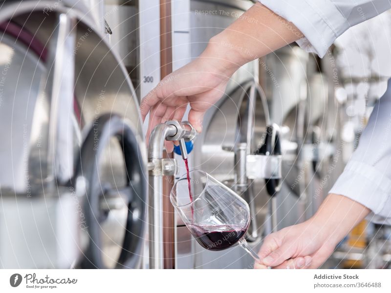 Erntehelfer gießt Wein in der Fabrik zur Verkostung in Glas degustieren eingießen Sommelier Arbeiter Uniform Rotwein Weinglas modern Einrichtung Pflanze Kelch