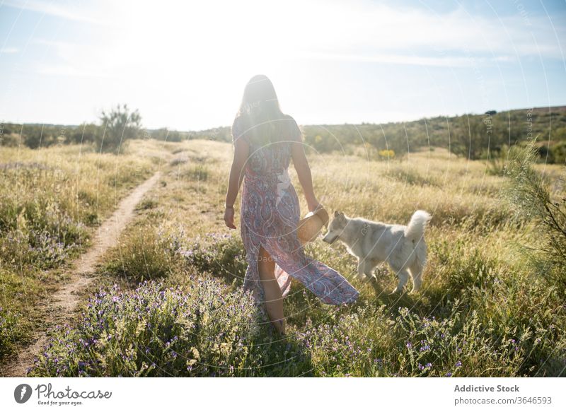 Fröhliche Frau mit Hund im Feld sich[Akk] entspannen Freund Alaska Malamut heiter Zusammensein heimisch Sommer Kleid ruhen Strohhut Lächeln Kraulen Streicheln