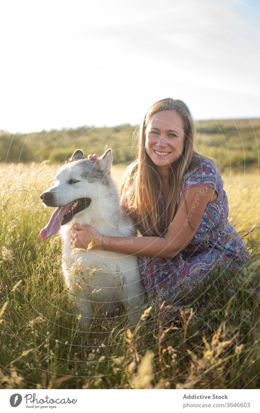 Fröhliche Frau mit Hund im Feld sich[Akk] entspannen Freund Alaska Malamut heiter Zusammensein heimisch Sommer spielen Kleid ruhen Strohhut Lächeln Kraulen