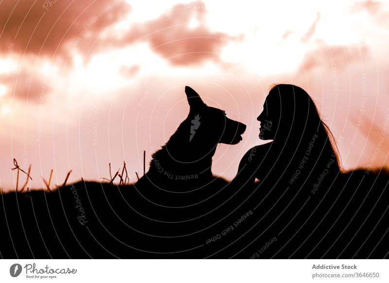 Silhouetten von Frau und Hund unter bewölktem Himmel bei Sonnenuntergang Zuneigung Harmonie Bonden Abend Zusammensein Tier sanft Reinrassig Landschaft