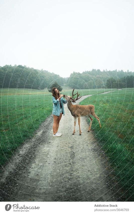 Lächelnde Frau beim Füttern von Hirschen im natürlichen Lebensraum Futter Natur bedeckt wild männlich Reisender Straße Sommer Tier Urlaub stehen Tourismus