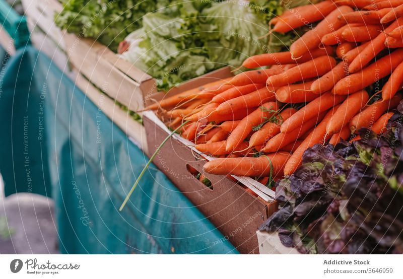 Frisches Gemüse am Stand auf dem Markt Lebensmittelgeschäft sortiert verschiedene frisch Möhre Kohlgewächse Salat Abfertigungsschalter Verkaufswagen organisch