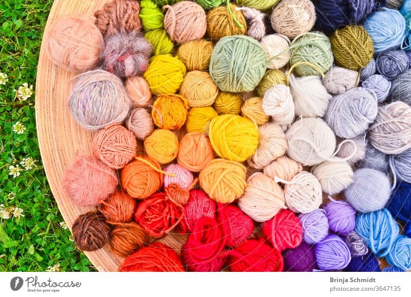 Viele bunte Wollknäule in einer flachen Holzschale auf dem Boden im Gras liegend texture leisure pattern needlework creative textile knit work woven cotton