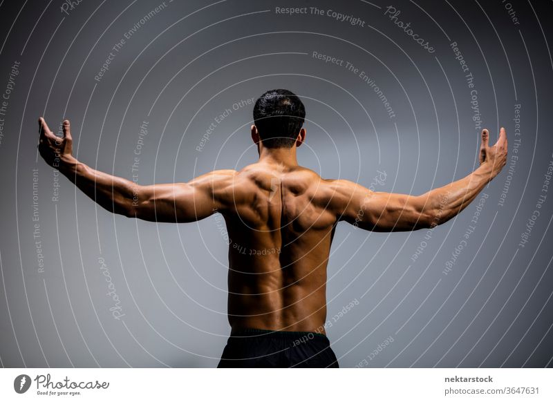 Männliches Fitness-Modell Rückenmuskeln Nam Vo männlich asiatisch muskulös Muskeln Stärke Sport sportlich Studioaufnahme menschlicher Körper Physis Torso Mann