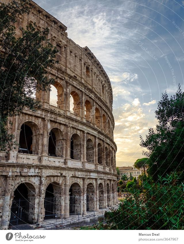 Das Kolosseum bei Sonnenuntergang mit klarem Himmel Rom Kolosseum Rom Italien Römer römische Architektur alt historisch Wahrzeichen Tourist reisen Europa