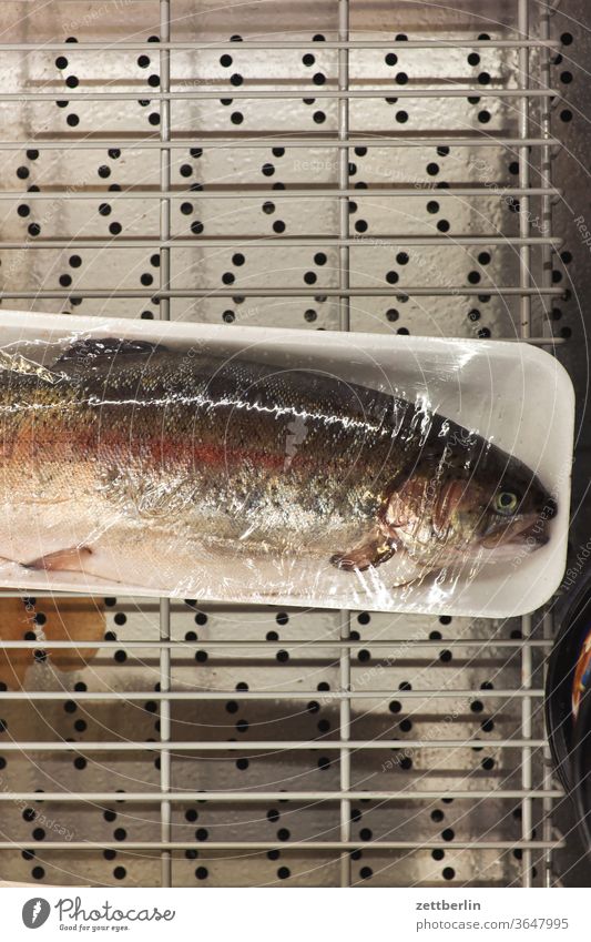 Forelle im Tiefkühlregal fisch forelle kühlung laden supermarkt tiefkühltruhe essen ernährung verpackung blister blisterpackung plastik folie
