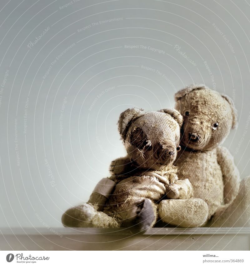 Abgeliebt. Gemeinsam alt werden und sich anlehnen können. Teddybär sitzen historisch kaputt Schutz Geborgenheit Freundschaft Zusammensein Mitgefühl trösten
