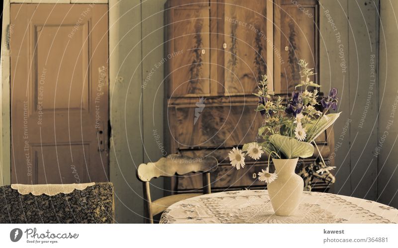Der Blumenstrauß in der Vergangenheit Pflanze Grünpflanze Menschenleer Wohnstube Wohnraum Tür Schrank Stuhl Wand alt ästhetisch historisch braun grau weiß