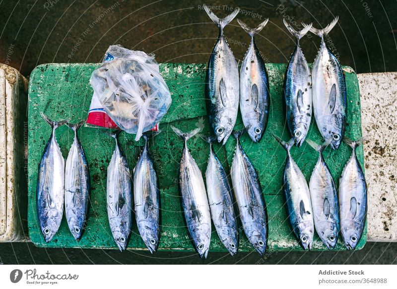 Frischer Fisch auf schäbiger Oberfläche fangen roh frisch Thunfisch ungekocht Meeresfrüchte Stein Borte verwittert Reihe Linie rau Bestandteil Feinschmecker