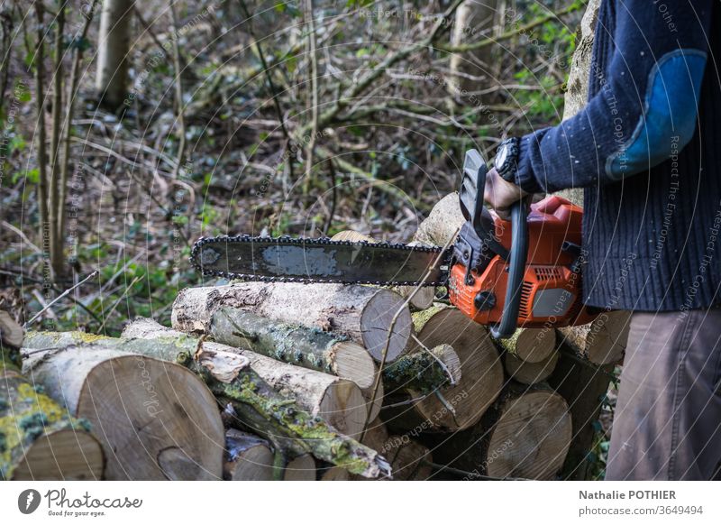 Kumberjack im Wald Waldarbeiter protokolliert Holzstapel Kettensäge Werkzeuge im Freien Natur Klinge stere Heizung Außenaufnahme Baum Farbfoto Holzfäller