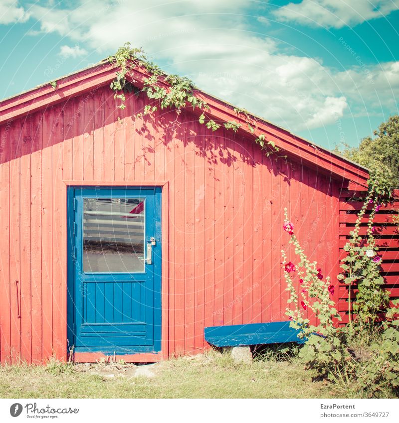 rote Hütte, blaue Tür Haus Holz Sommer Bank Himmel Wolken Stockrose sonnig
